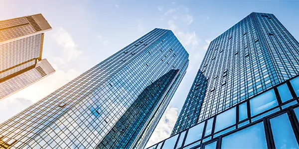 Policy Clarity and Regulatory Framework